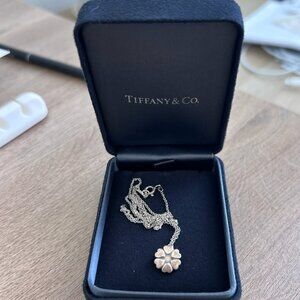 Tiffany & Co Necklace